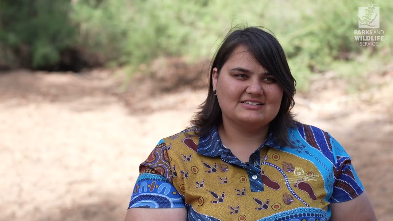 Стажеры из числа коренного населения получают практический опыт и возможность работать на своей з...