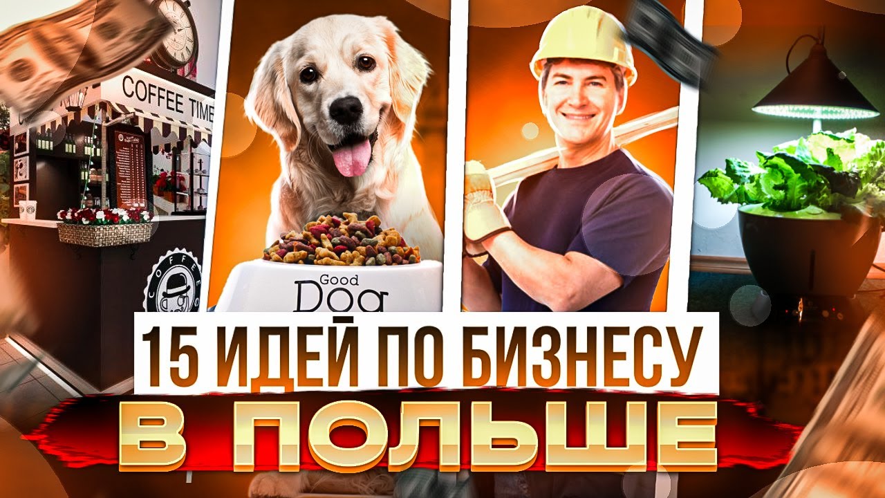 Идеи для бизнеса в Польше в 2023