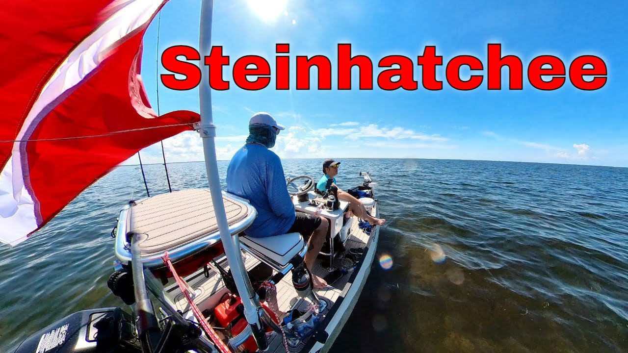 Scalloping In Steinhatchee: A Gheenoe Adventure