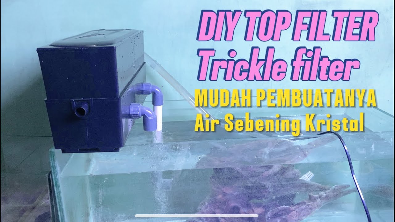 DIY Top Filter / Trickle Filter Aquarium | Air Bening Kristal & Mudah Dibuat