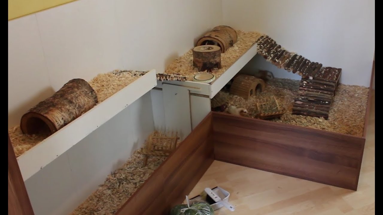 Neues GEHEGE für die MEERSCHWEINCHEN | Die Meeries