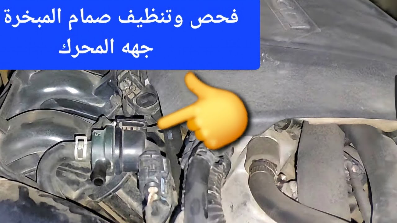 فحص وتنظيف صمام المبخرة Evaporative purge