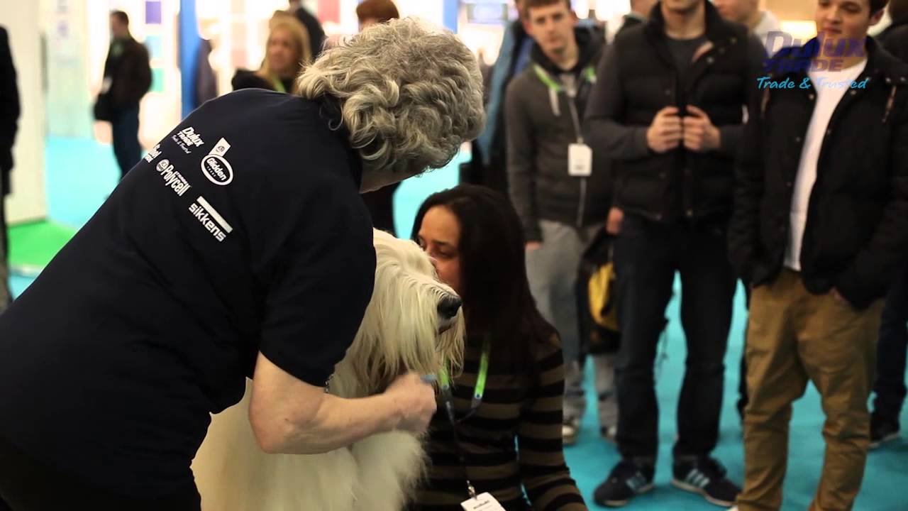 Spud the Dulux Dog at the Ecobuild 2013