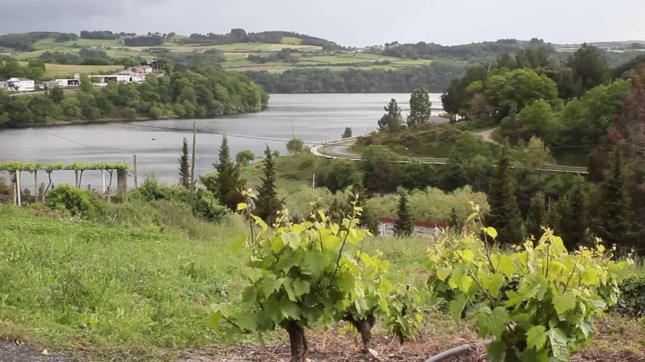 Camino de Santiago: Sarria a Portomarín. Camino Francés, 28.