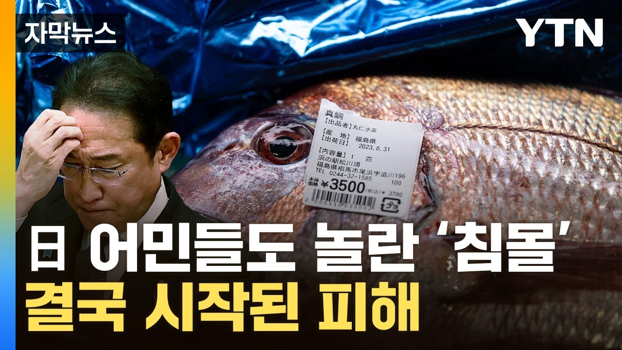 [자막뉴스] 中 '수입금지' 이 정도였다니...다급해진 일본, 결국 / YTN