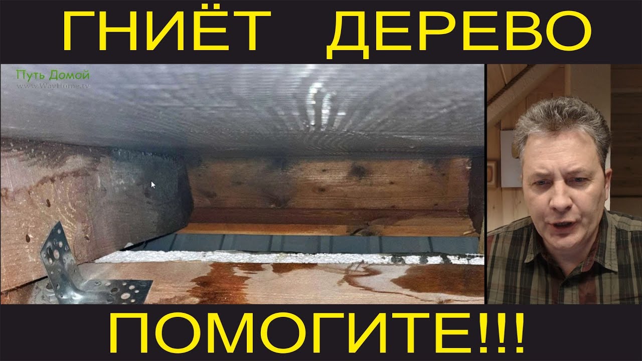 Помогите! Гниет дерево на доме! #Фото_анализ