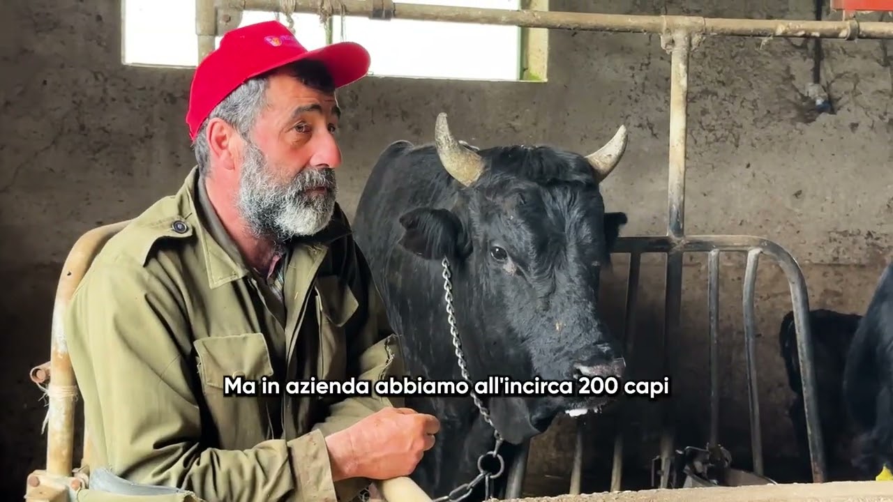 AZIENDA INGRAFFIA CINISARA