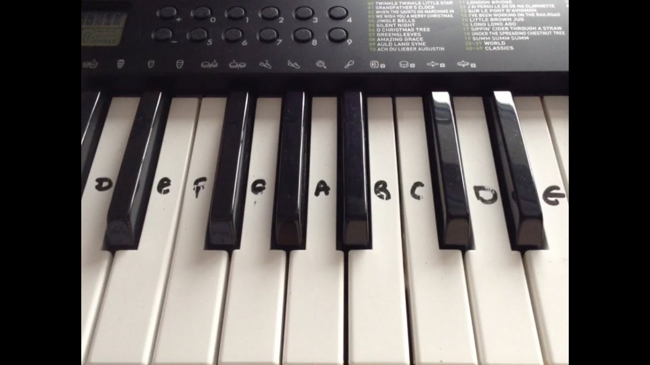 Casio CTK-240 | Keyboard Review & Summary