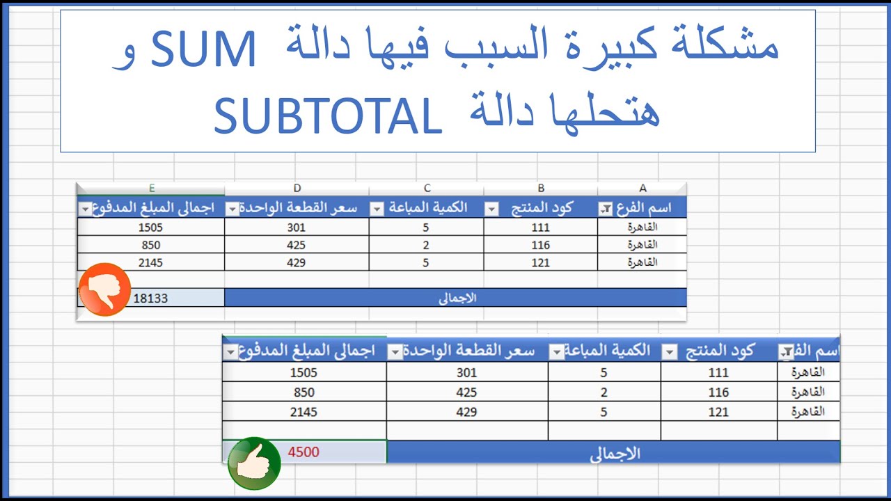 مشكلة كبيرة السبب فيها دالة SUM  و هتحلها دالة SUBTOTAL