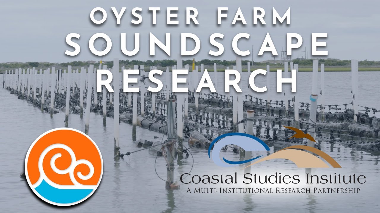 Coastal Studies Institute - Oyster Farm Soundscape Research