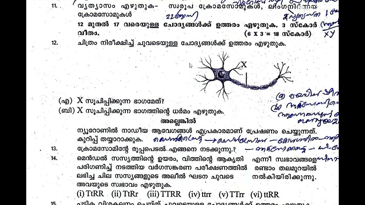 SSLC Biology First Term Exam 2025-26