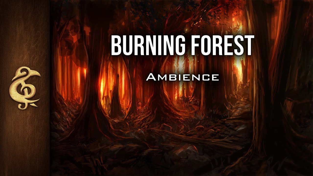Burning Forest | Wildfire Ambience | 1 Hour #dnd