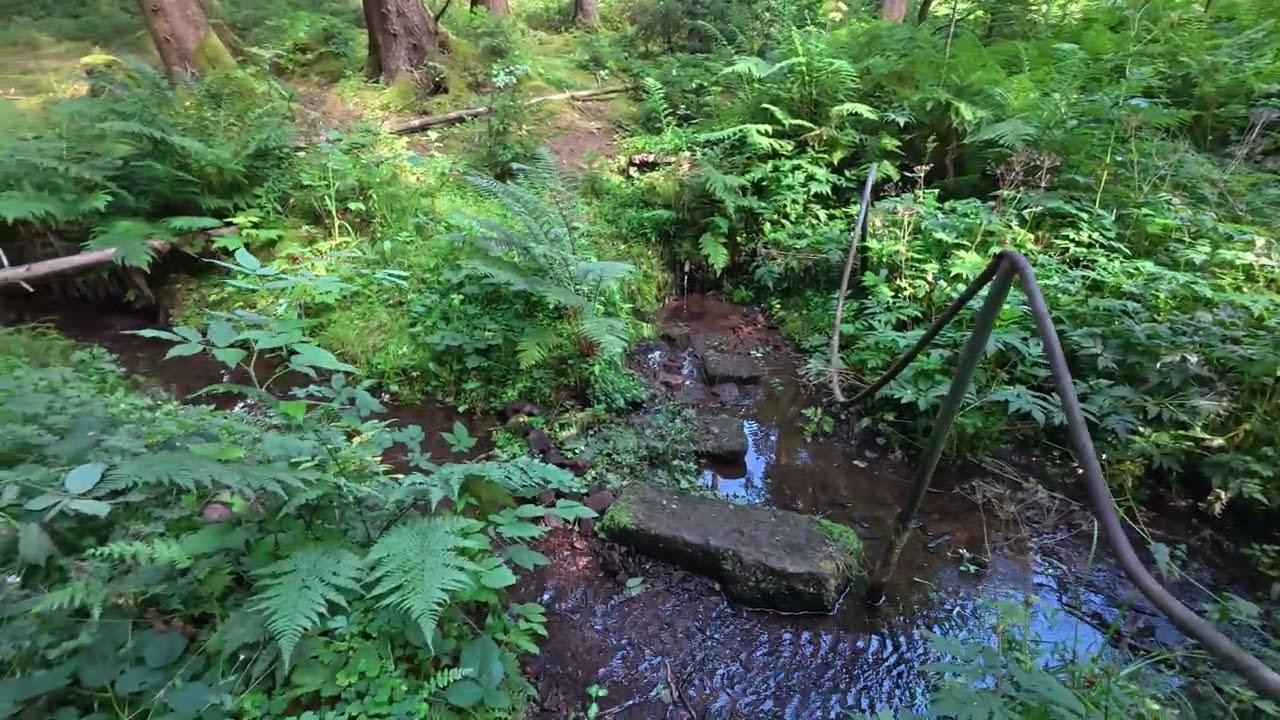 Finsterbergen #Friedrichroda #thuringianforest #Thüringen #rennsteig #höhenweg #körnberg 