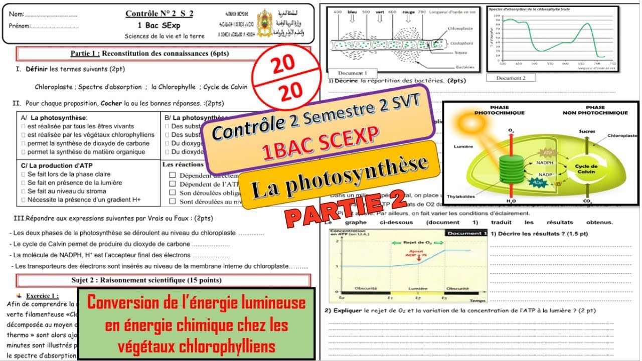 1BAC Contrôle 2 S2 La photosynthèse conversion de l'énergie lumineuse en énergie chimique(prt2)