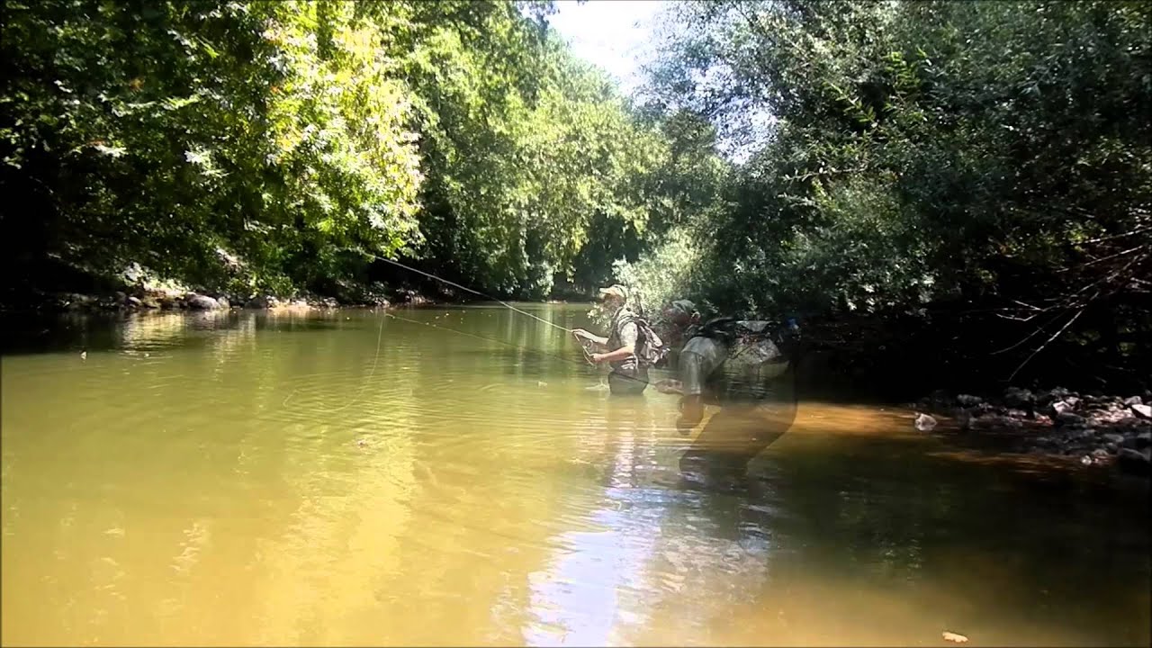 River Pinios - Tesalija - V. Rakic Antonic