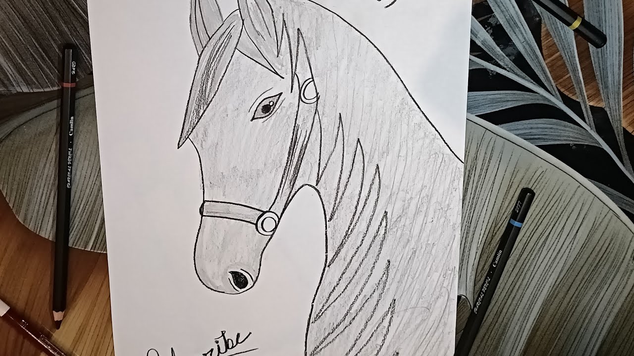 Horse art with help Charkol pencil ✏️ || Ayesha arts