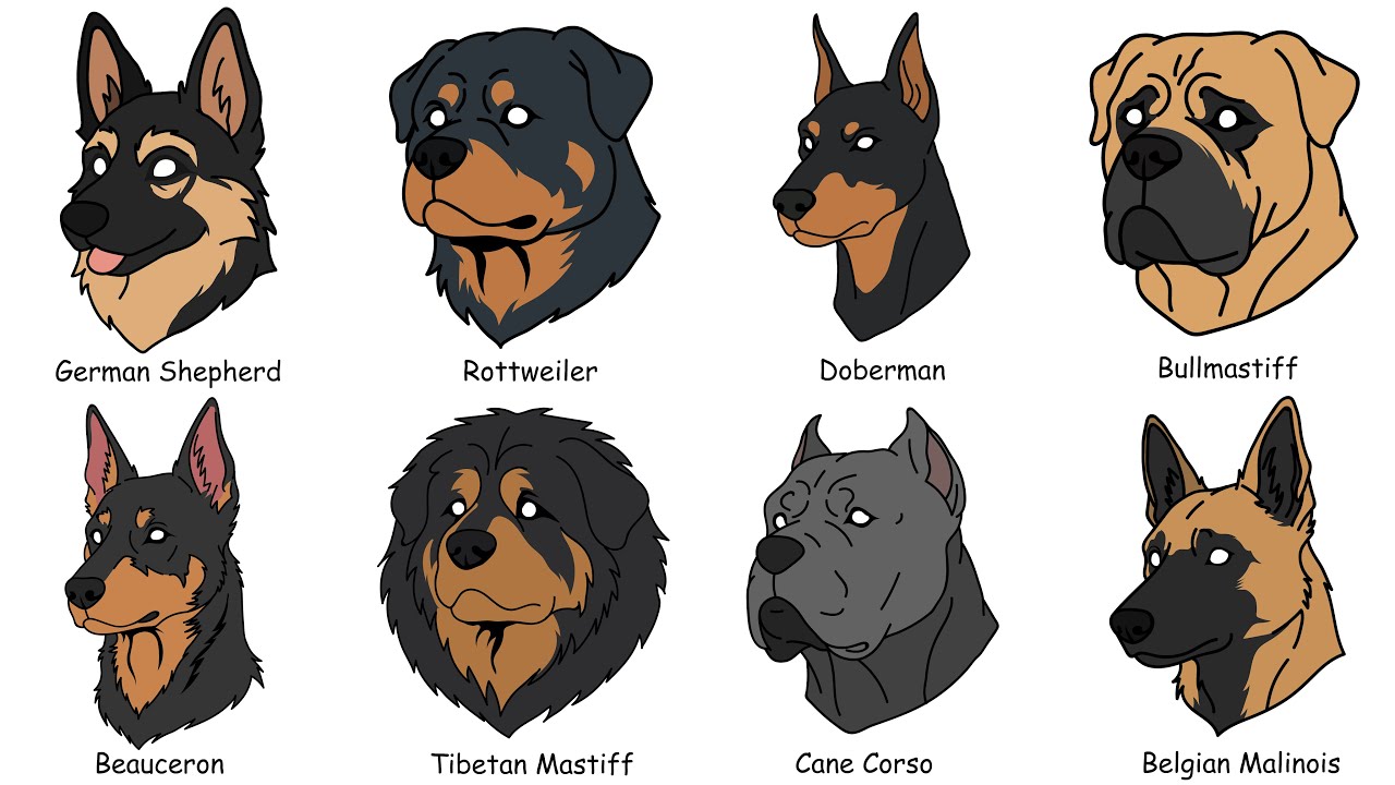 Most Dangerous Guard Dogs Explained in 7 Minutes