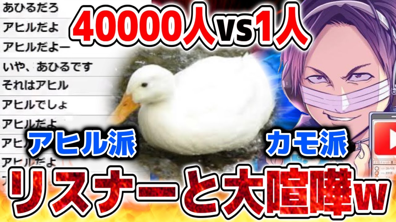 謎の白い鳥をカモと言い張るコレコレとアヒル派の大量のリスナーで大バトルするシーン【2022/02/16】