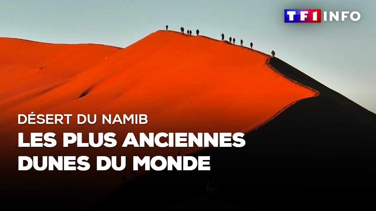 Désert du Namib : les plus anciennes dunes du monde
