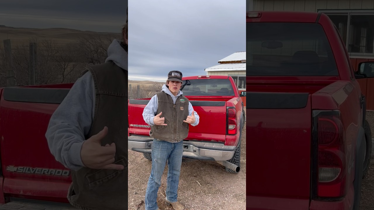 I feel so&hellip;responsible #western #country #punchy #cowboy #ranchlife  #horses #ranching