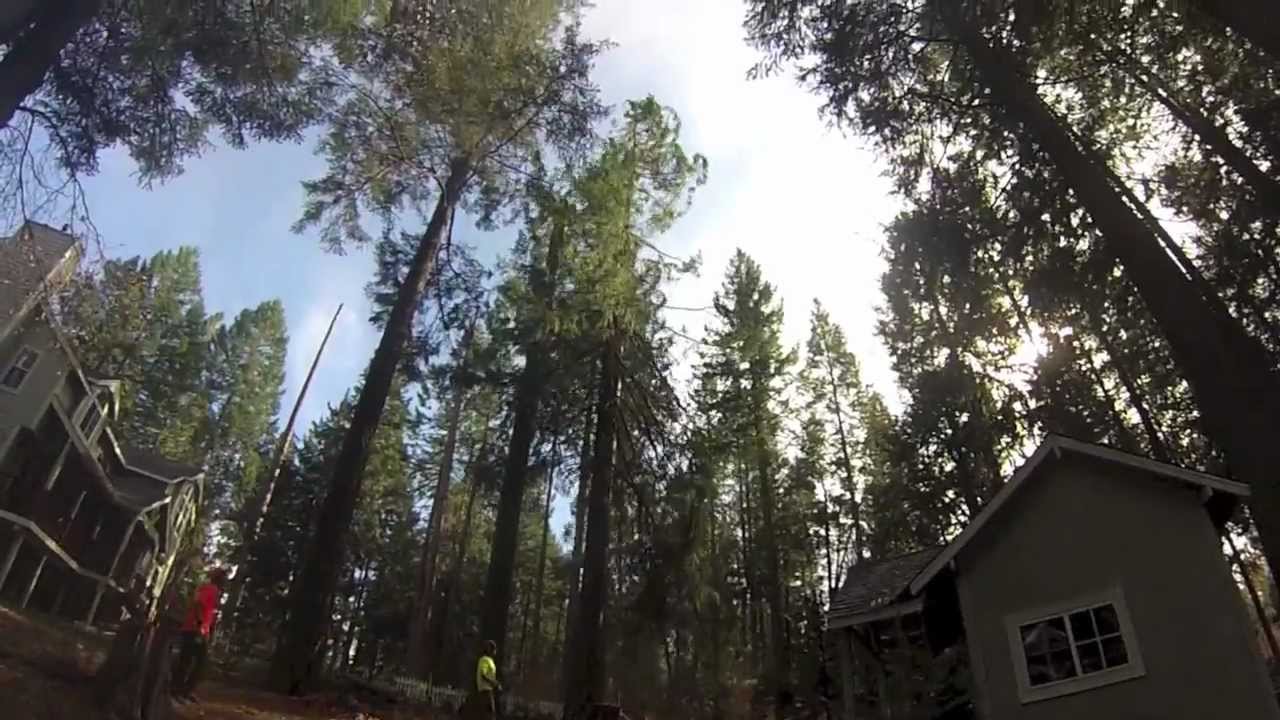 Logging Harmony Ridge