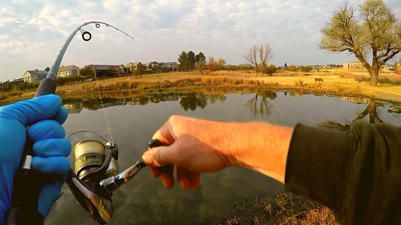 Catfish in the CITY of GOLD  || South African Fishing Tour Ep 12