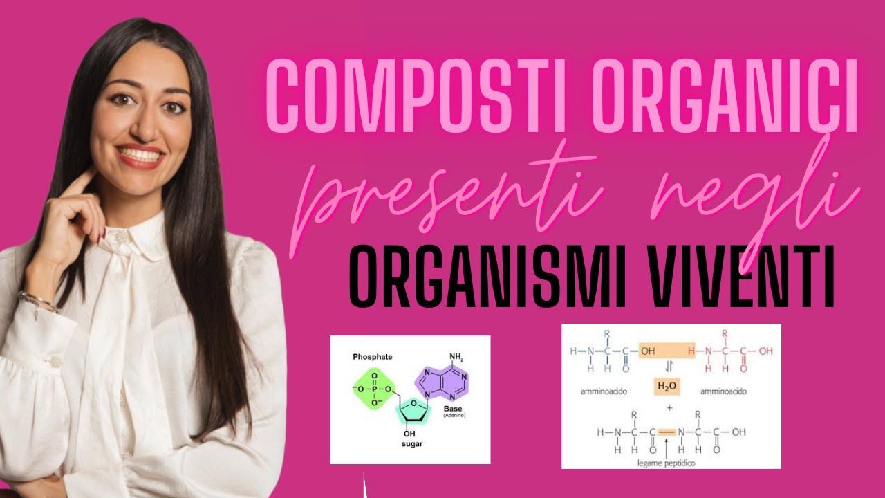 COMPOSTI ORGANICI PRESENTI NEGLI ESSERI VIVENTI: RIASSUNTO SUPER SEMPLIFICATO