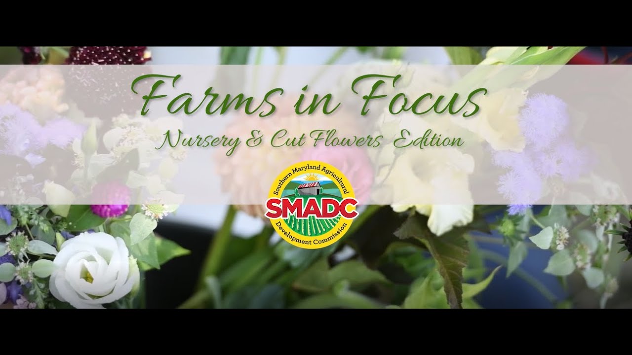 Farms in Focus: Nursery & Cut Flowers Edition