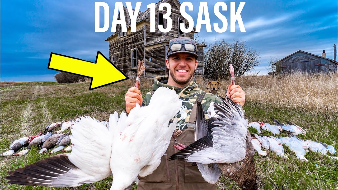 2 GUYS 2 BANDS 40 SNOWS UNDER 30 MINUTES!