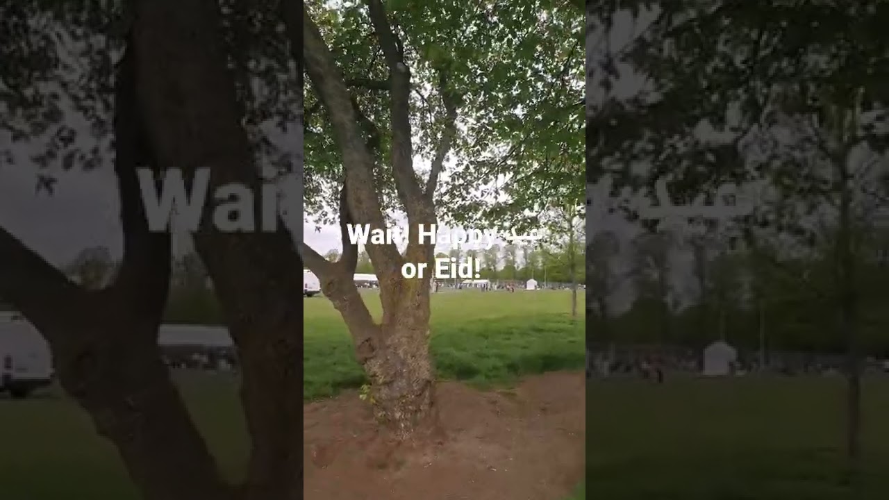 did you guys see this in victoria Park?