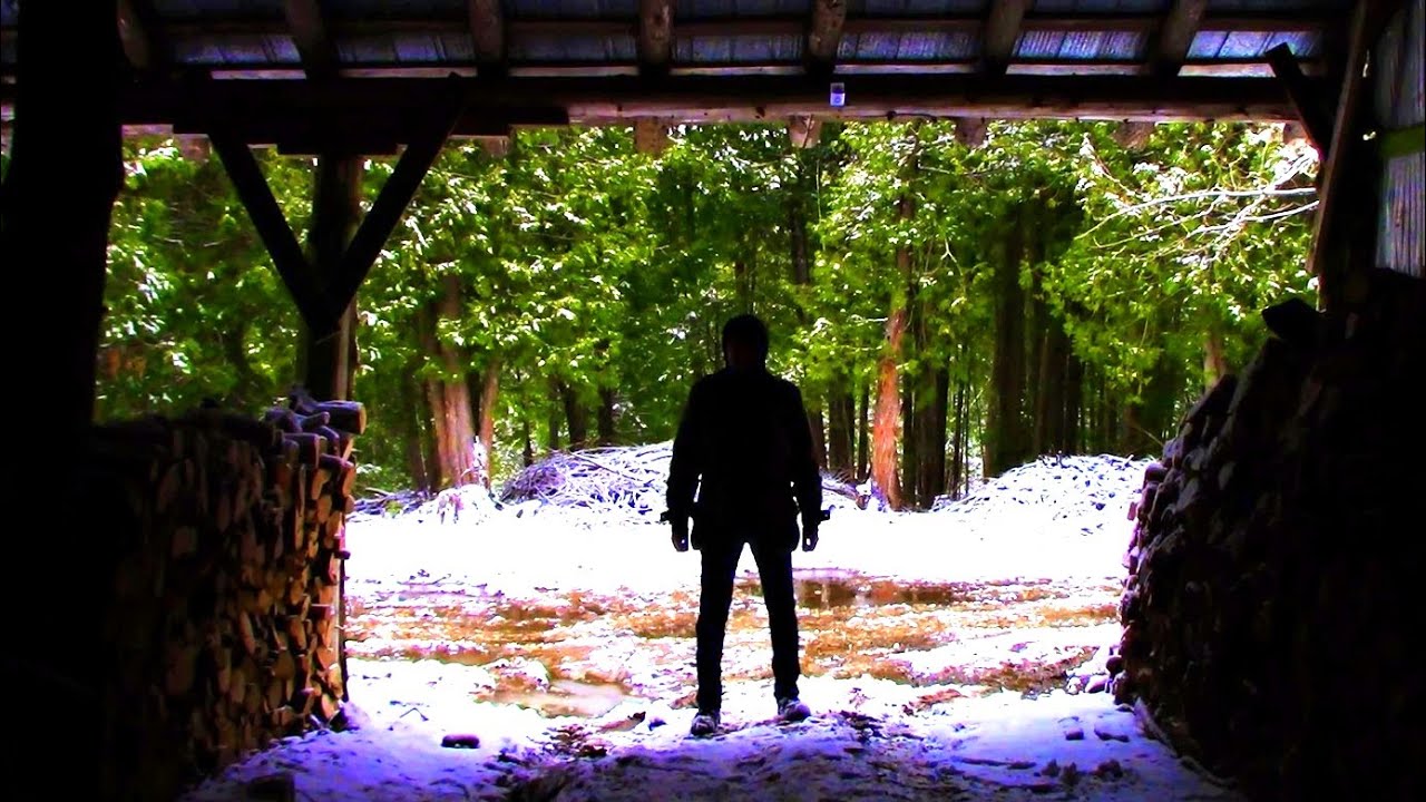Thieves came. They Stole. They Poached. ...We take action!  / Log Cabin Update- Ep 11.10