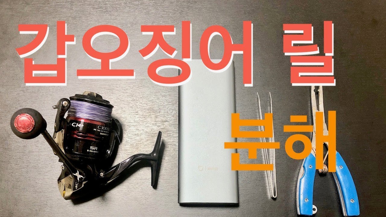 갑오징어 낚시 릴 분해(시마노 세피아 CI4+,  SHIMANO SEPHIA teardown)