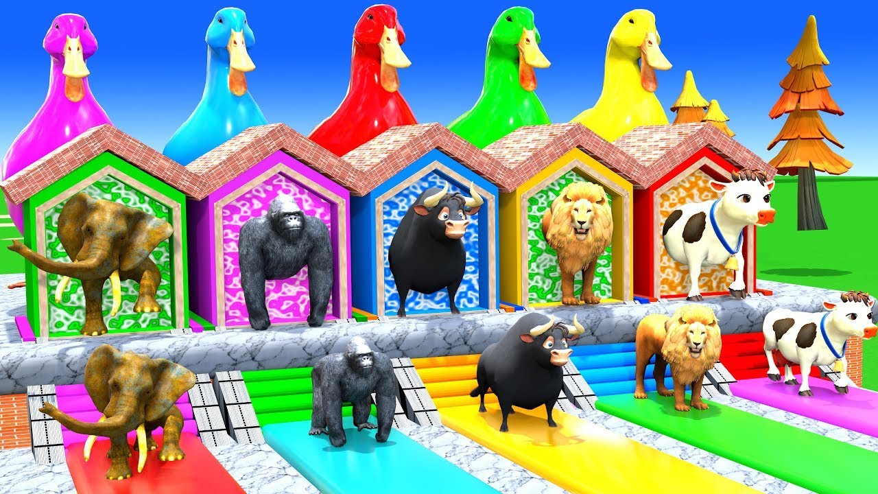 Long Slide Game with Cow Elephant Gorilla Hippopotamus Tiger 3d Animal Game Funny 3d Animals