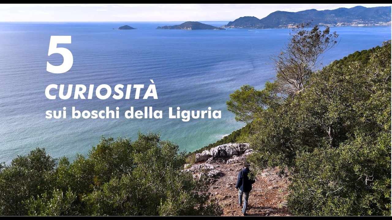 5 curiosità sui boschi della Liguria