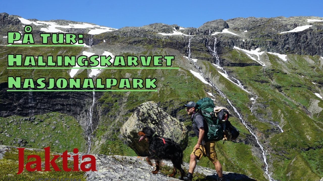 Hallingskarvet nasjonaltpark - Livet på tur!