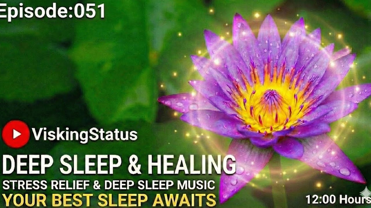 Ep:51 of the Relax series,slow-motion frame of dew-kissed flowers Instant Stress Relief #relex #1m 