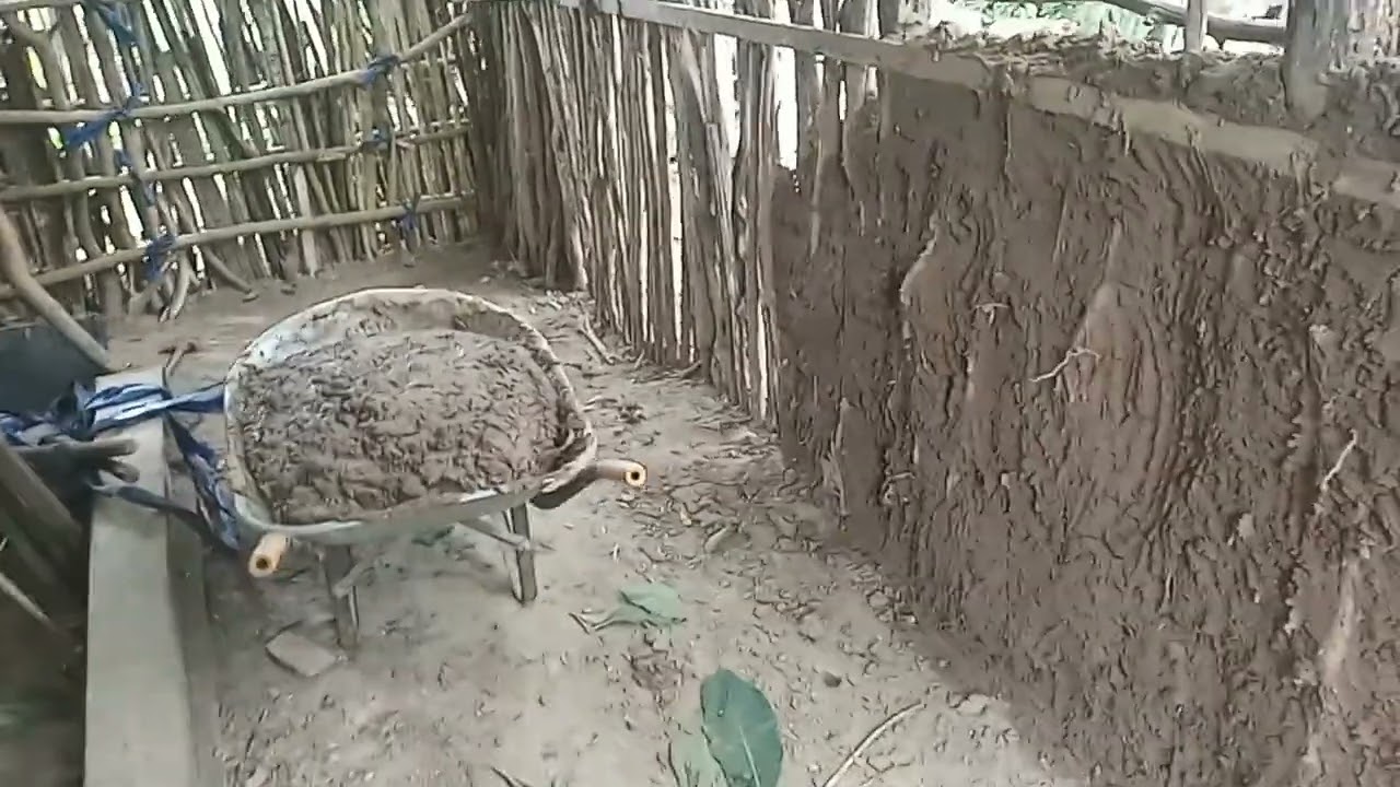 segunda parte da baia feita de taipa para criação de galinha 🐤 🐥 🐔