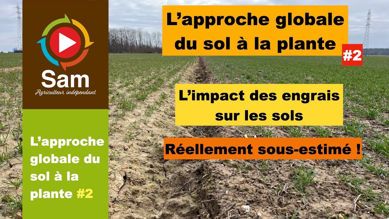 L' approche globale du sol à la plante #2 L'impact des engrais sur les sols. Essais et démonstration