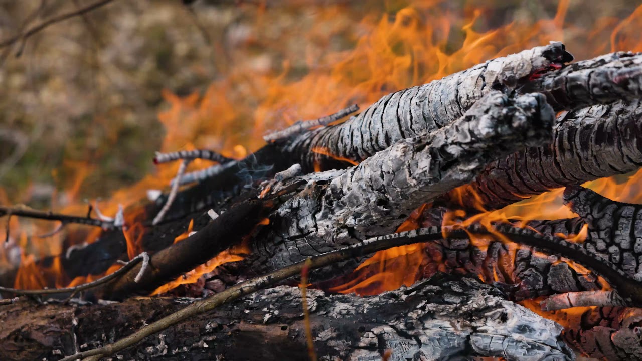 Canon R5 Clog-3 | BT.709 | 4K 120FPS