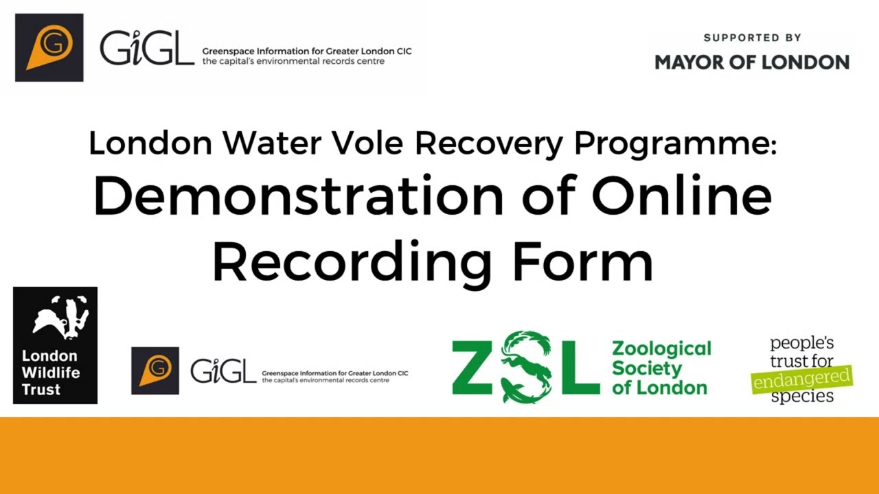 Using the water vole and American mink recording form