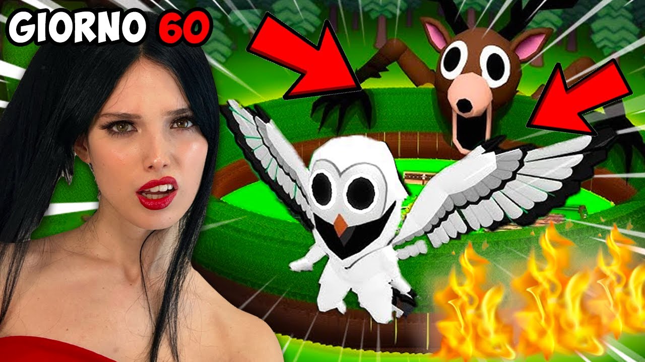 SOPRAVVIVI 99 NOTTI NELLA FORESTA - Episodio 6