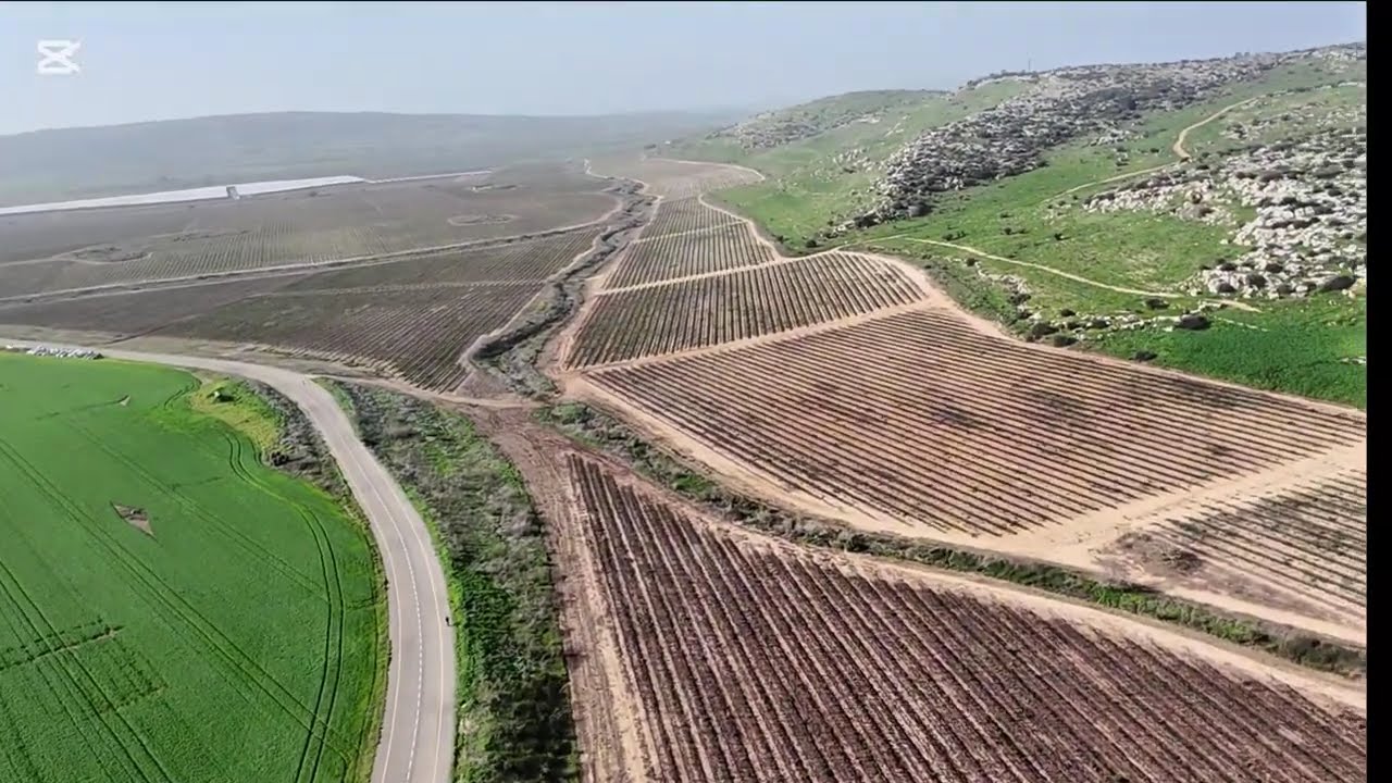 Fun Day at the field with my FPV 