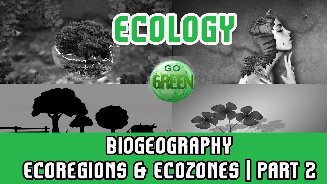 30. Ecology | Biogeography- Ecoregions & Ecozones II | Holearctic: Palearctic+ Nearctic | Afrotropic