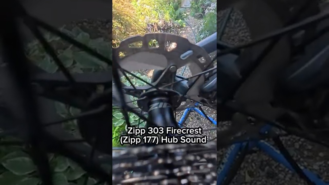 Zipp 303 Firecrest (Zipp 177) Hub Sound Check! 