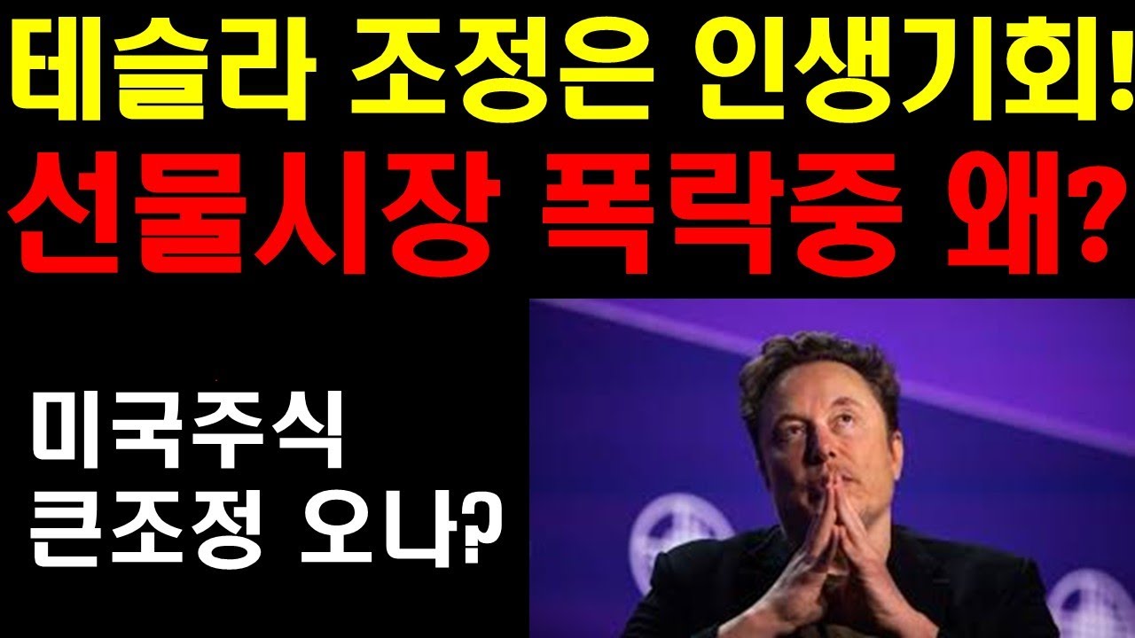 테슬라 조정은 인생기회! 선물시장 폭락중! 이유는! 미국주식 큰 조정오나? 트럼프발 큰 조정장은 엄청난 줍줍기회! 결국 기회를 잡는 사람이 돈을 번다! 구글 엔비디아 팔란티어 기회