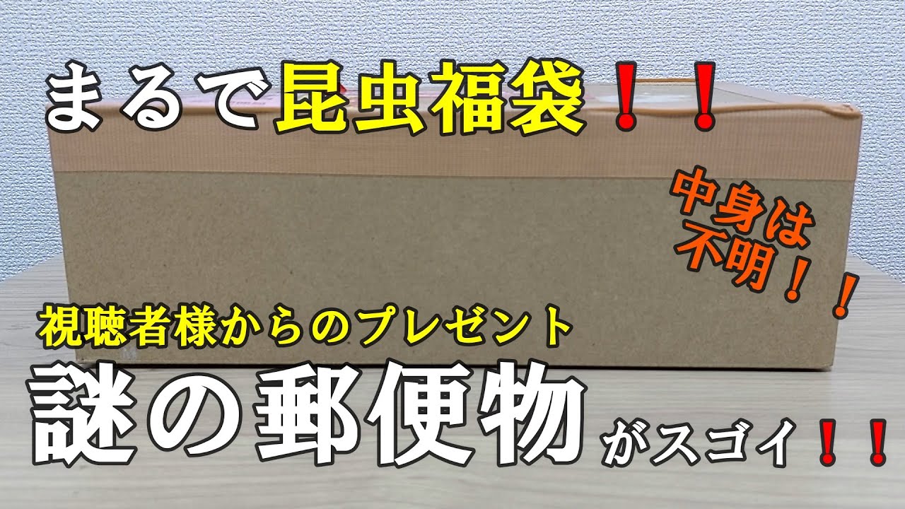 【福袋】お楽しみBOX！視聴者様からいただいた謎の郵便物の中身がヤバすぎた！【カブトムシ・クワガタ】
