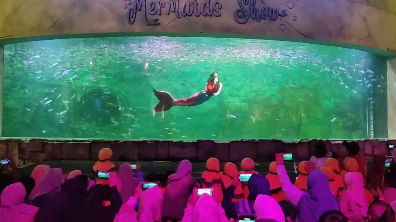 Penampilan Putri Duyung atau Mermaid Show 12052024 10:01
