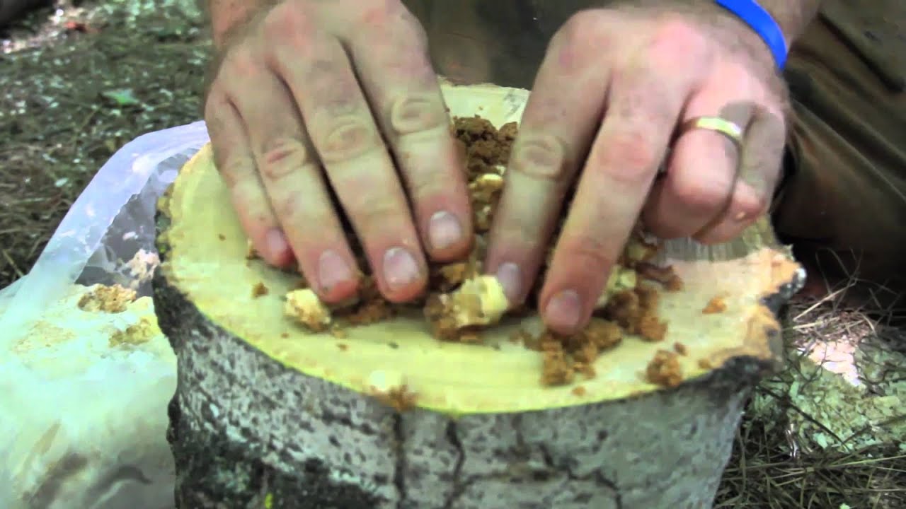 Totem Inoculation Process