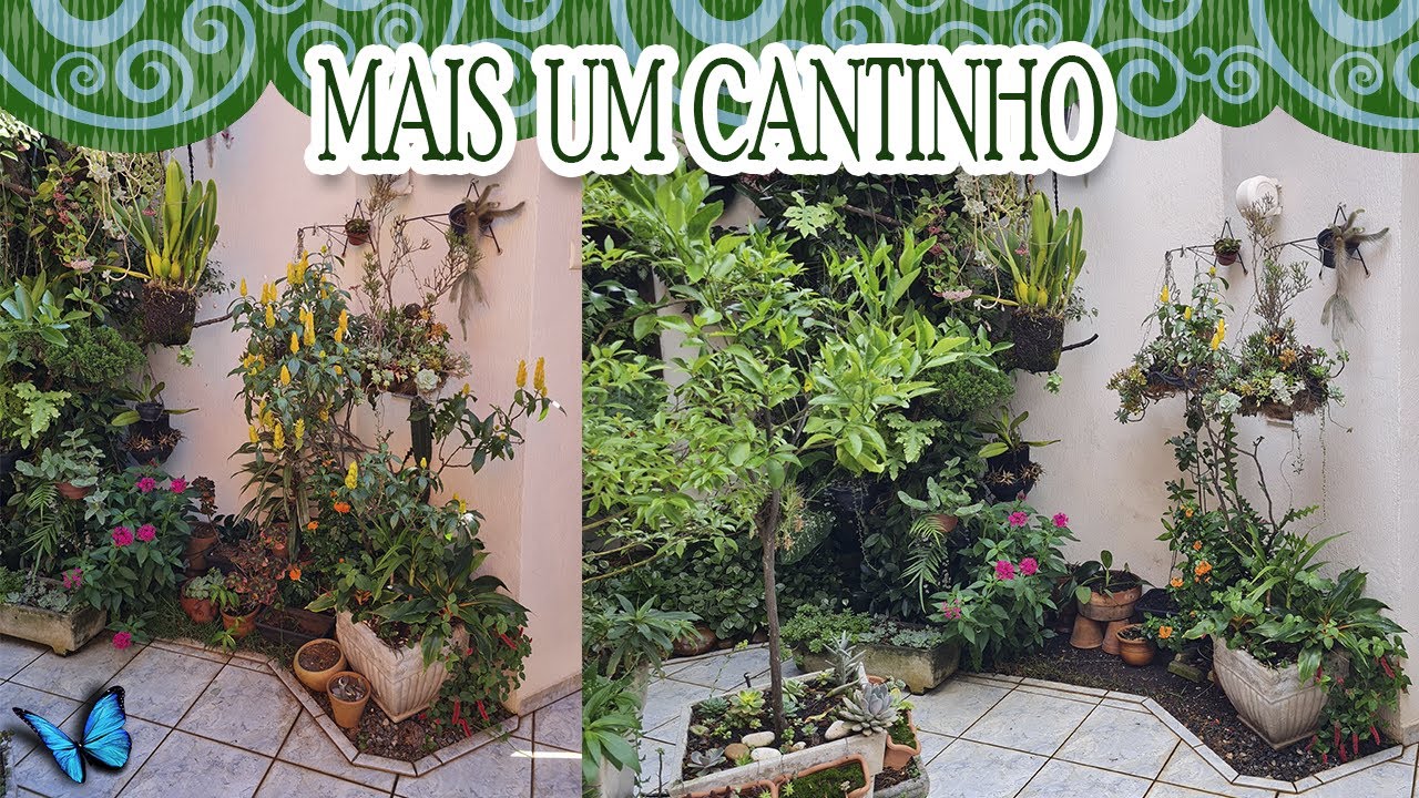 MANUTENÇÃO NO JARDIM