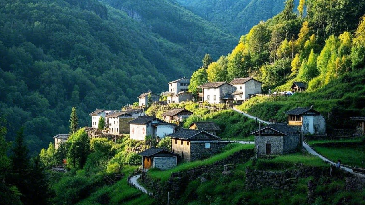 两年前徒步探访的荒村，经过荒地承包70岁爷爷都能赚钱，如今汽车能开到家门口【乡村阿泰】